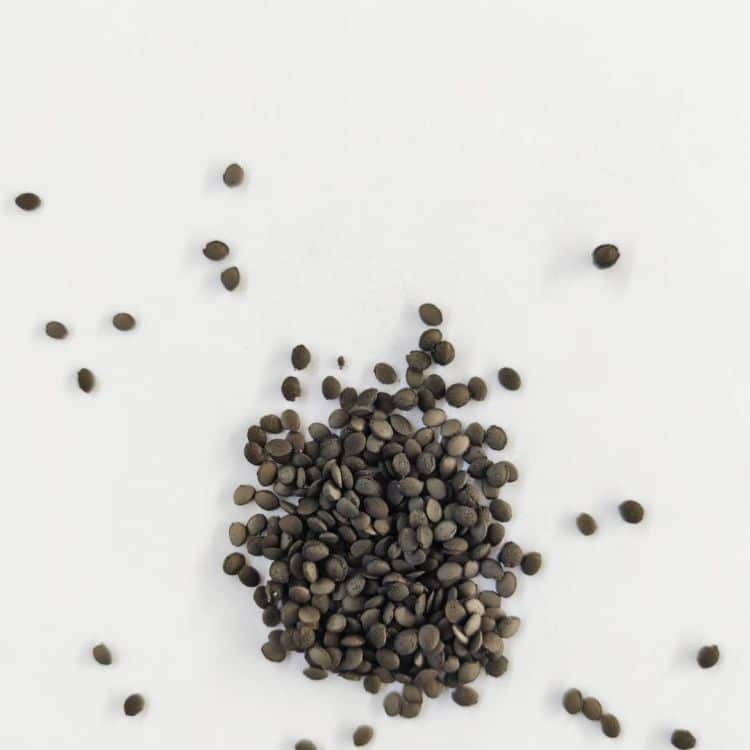 PA12 SmFeN Compound-PA12钐铁氮粒料